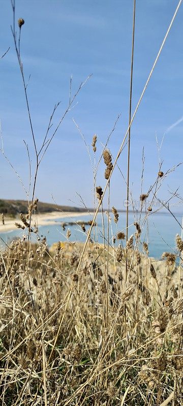 风景，海滩，自然，风景，İğneada, Kırklareli，土耳其